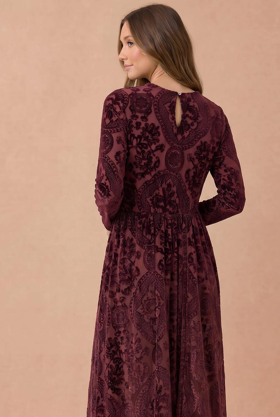 The Velvet & Vines Dress