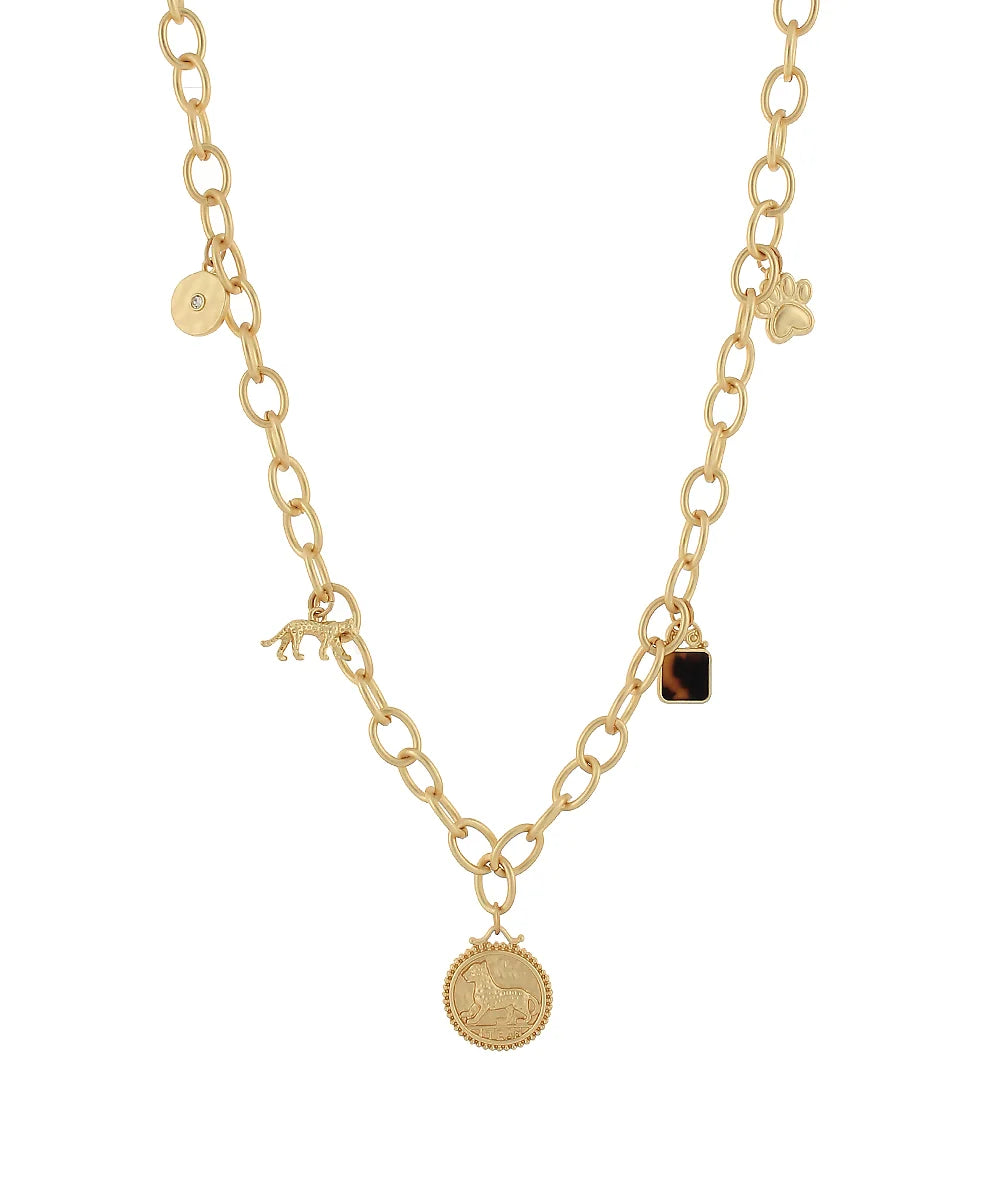 The Tortoise & Gold Collection