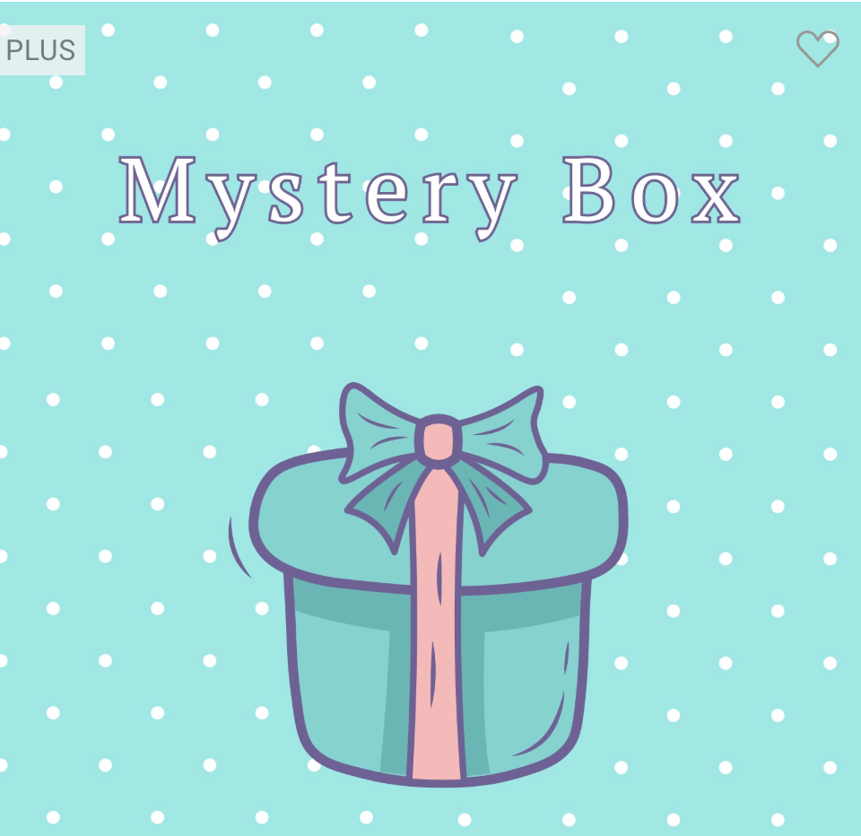 Sample Mystery Box Plus Size Tops
